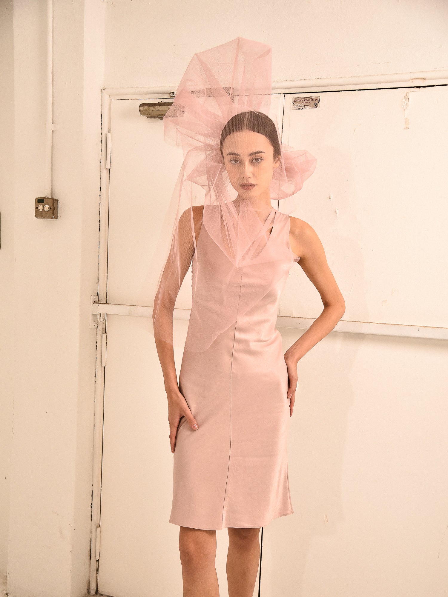 Elinore Panel Fitted Dress