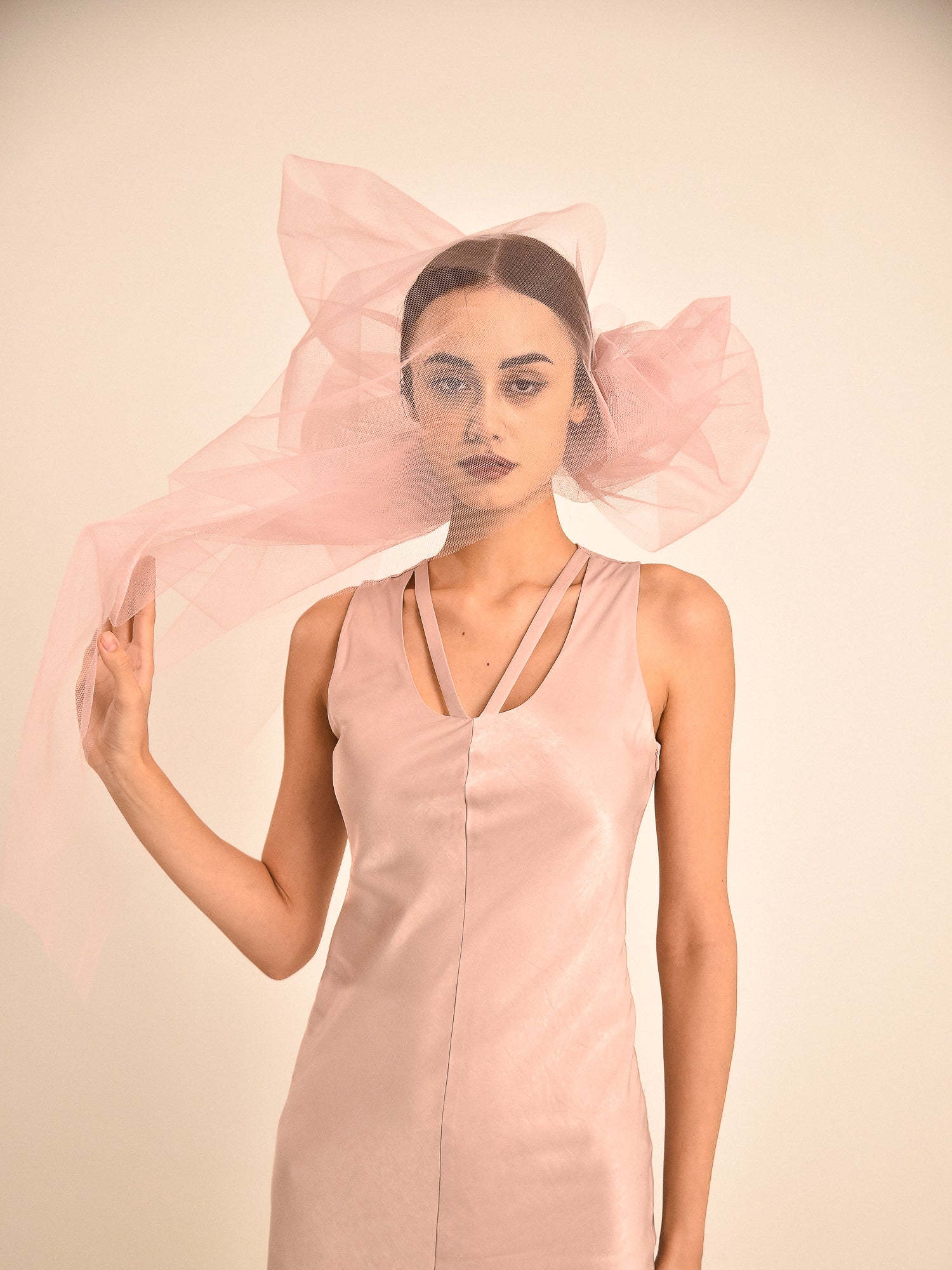 Elinore Panel Fitted Dress