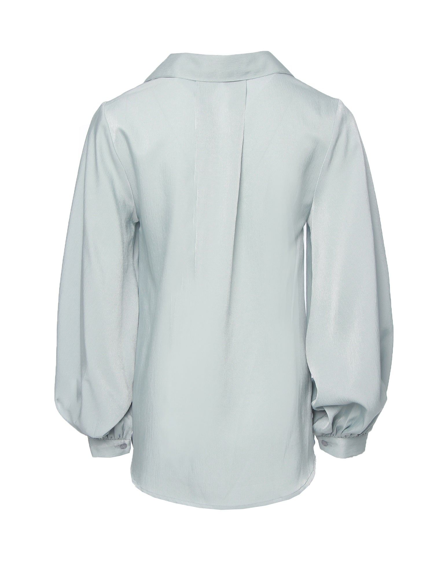 Myra Blouson Sleeve Top