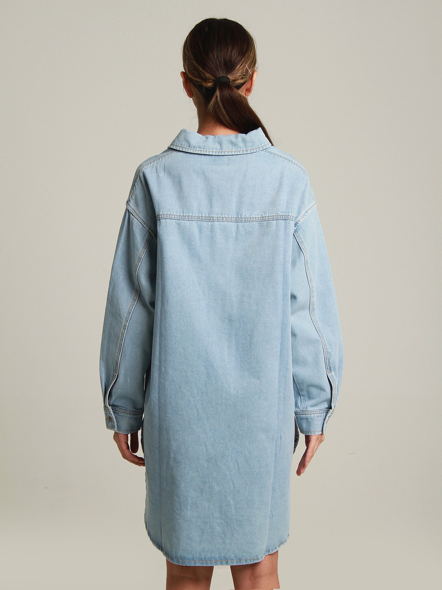 Ashton Denim Shirt Dress