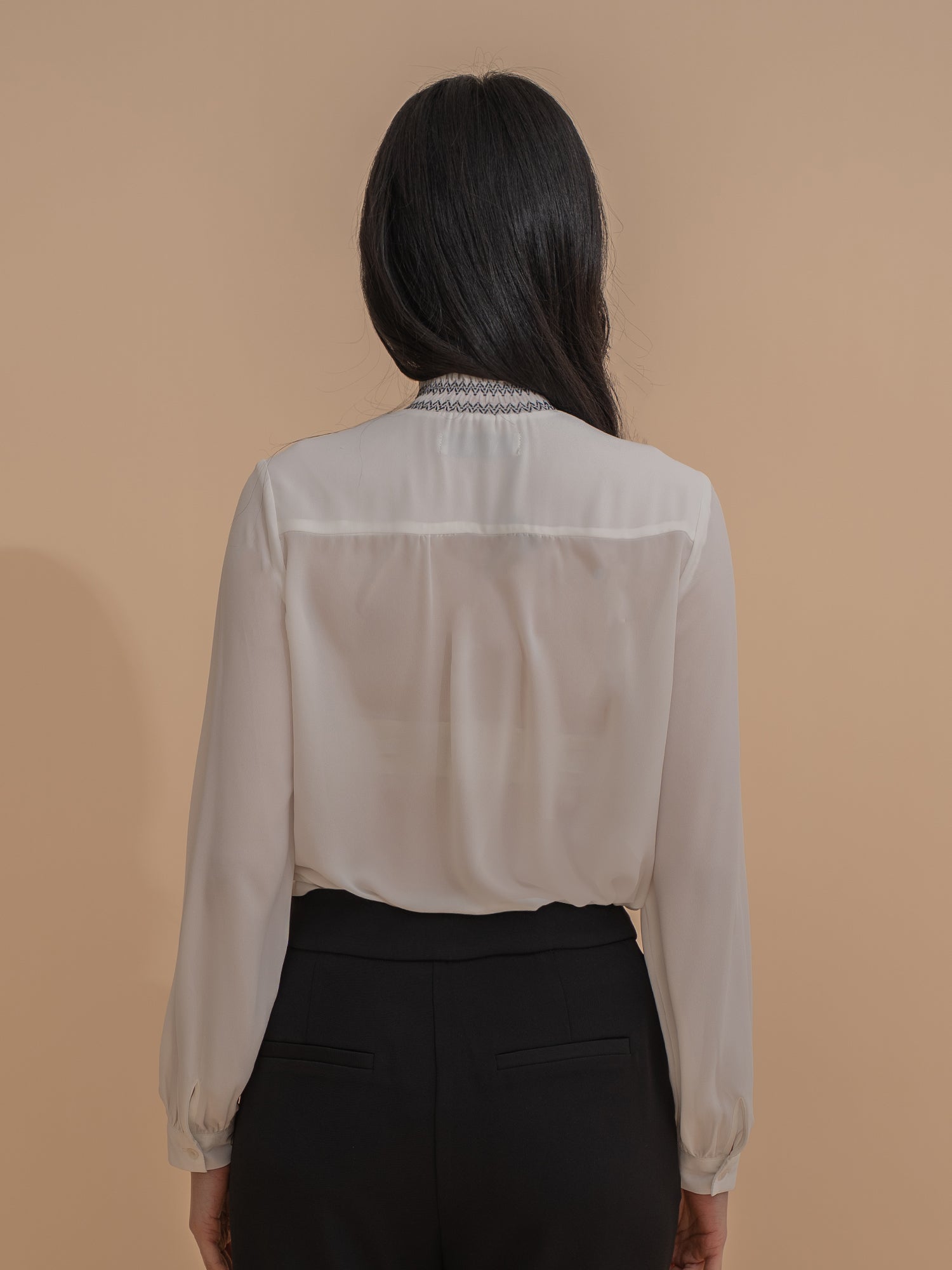 Ruffled Collar Chiffon Blouse
