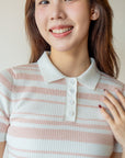 Striped Polo Knit Top