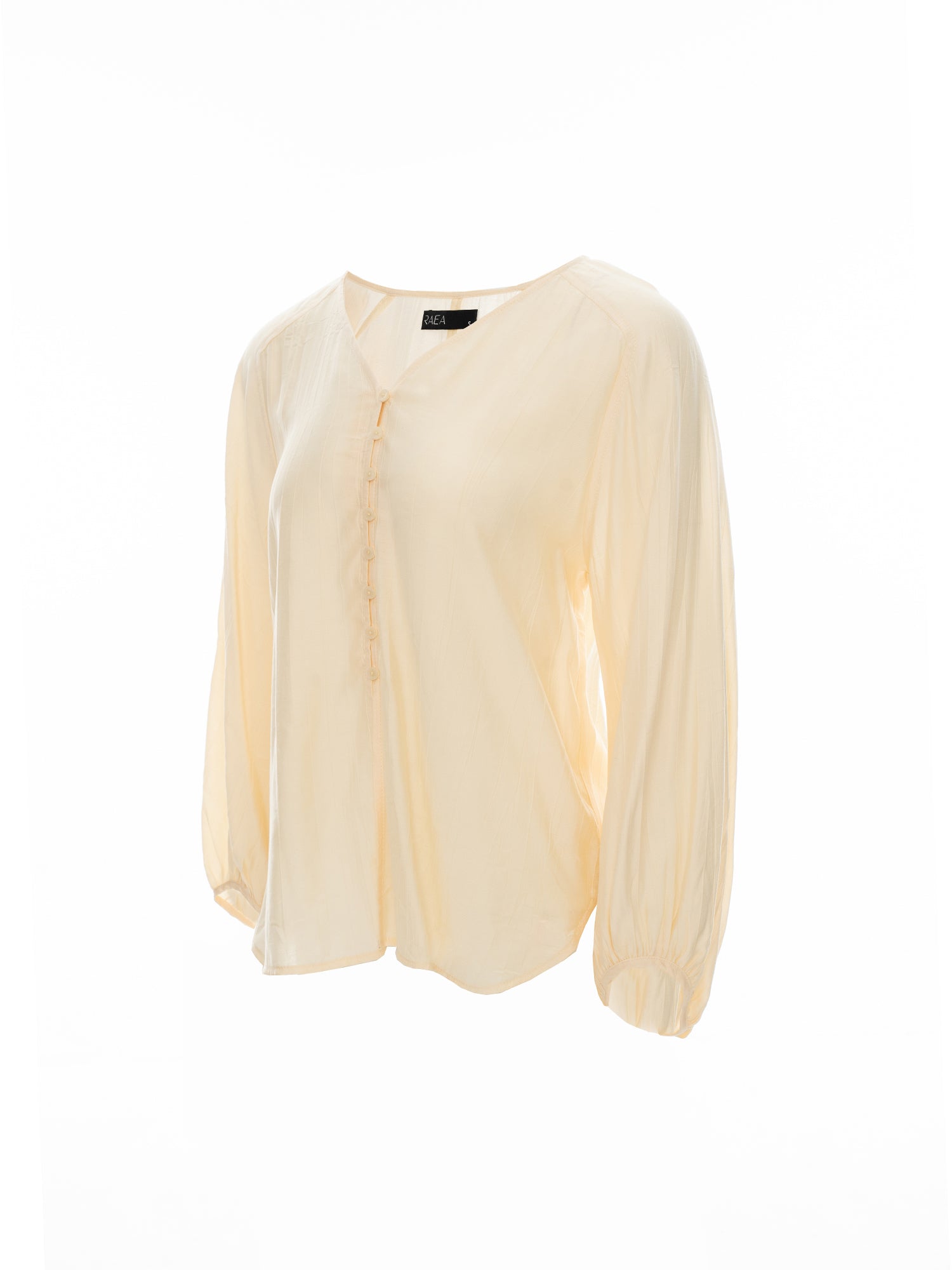 Sheer Button Blouse