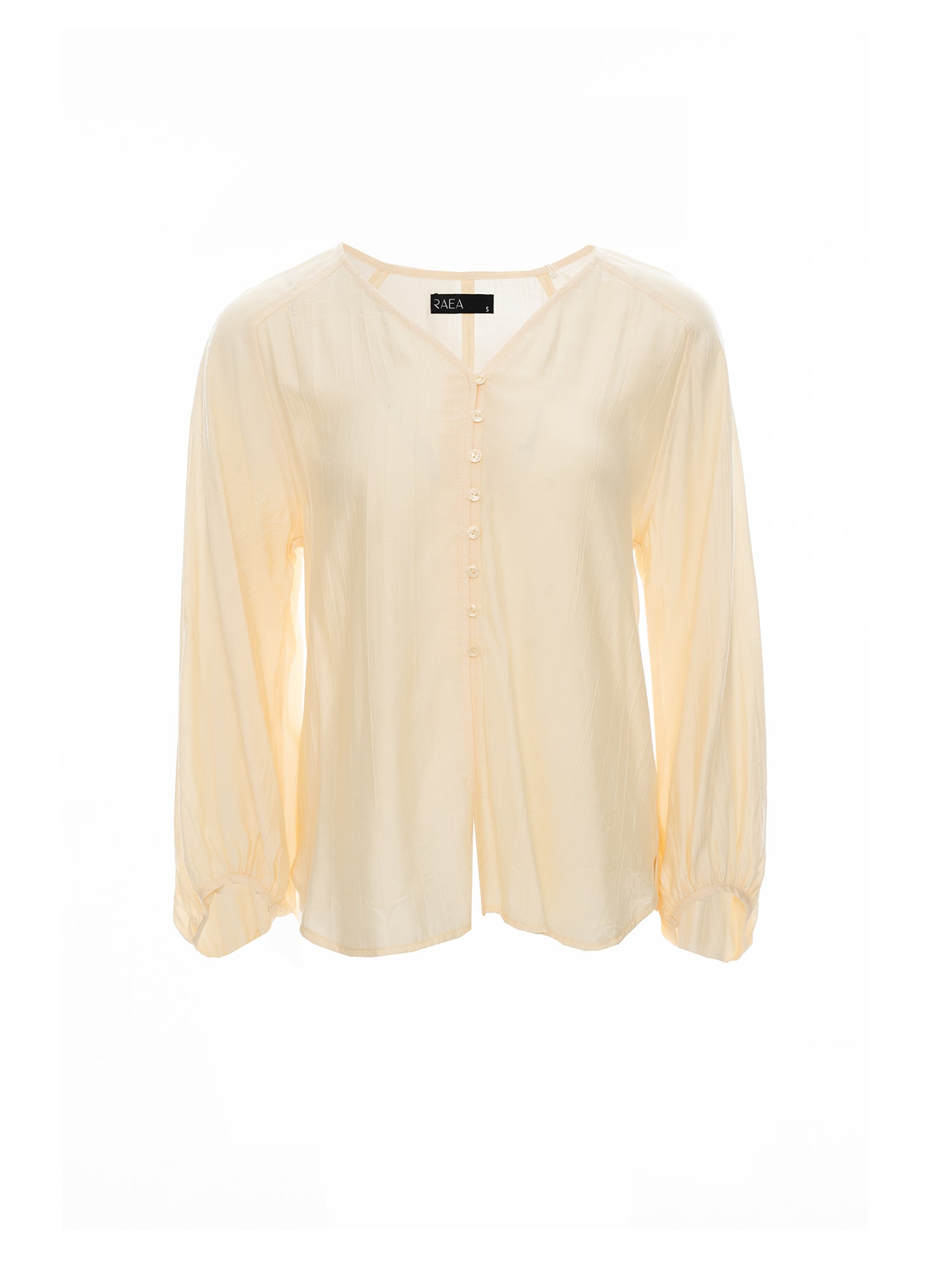 Sheer Button Blouse