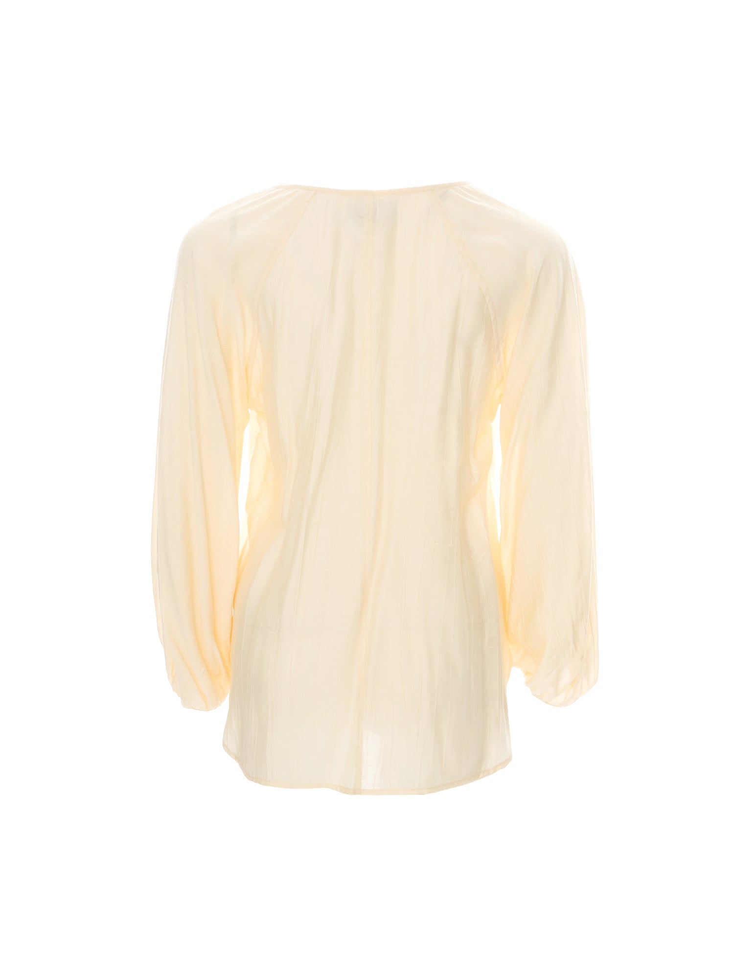 Sheer Button Blouse