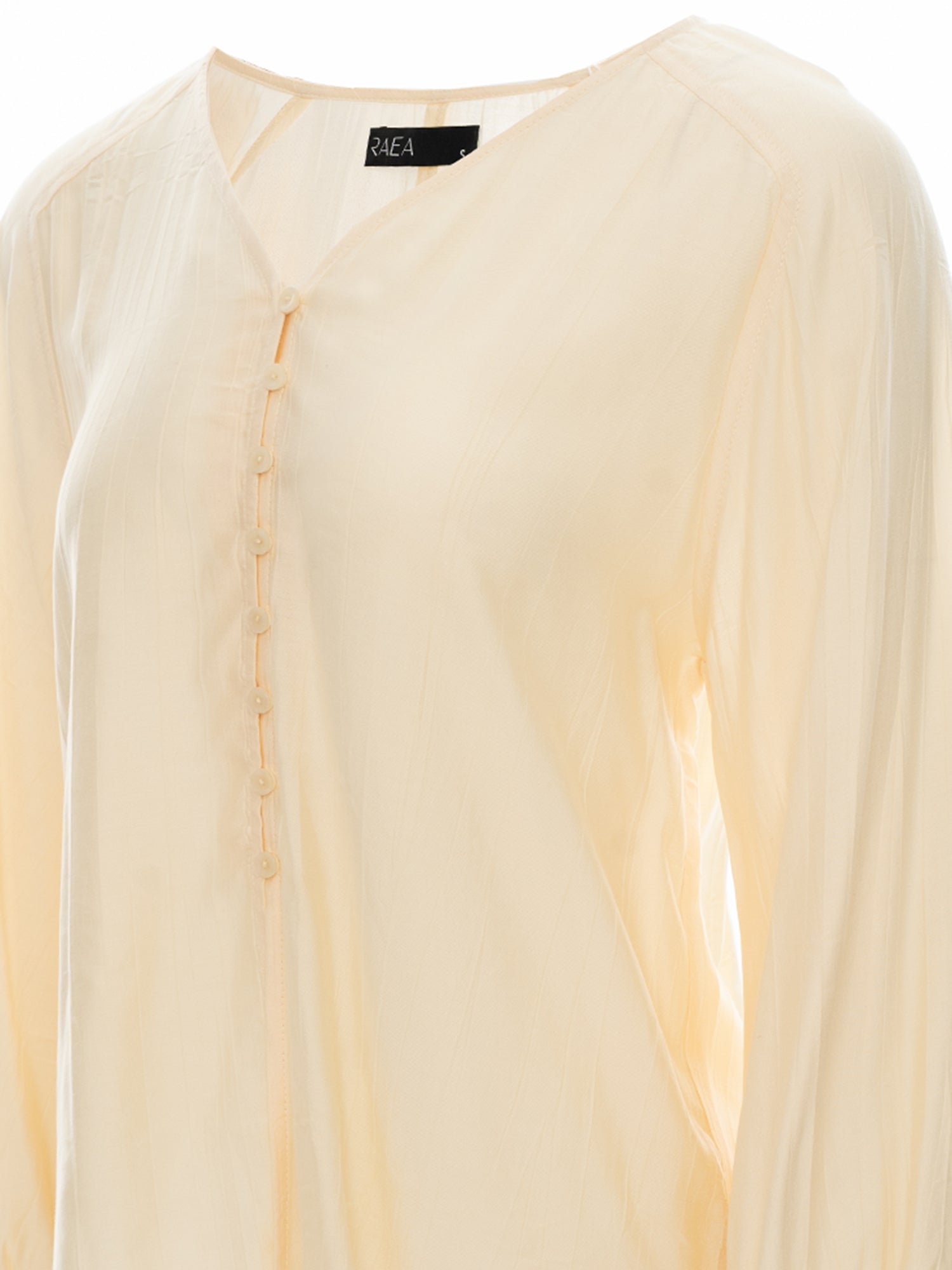 Sheer Button Blouse
