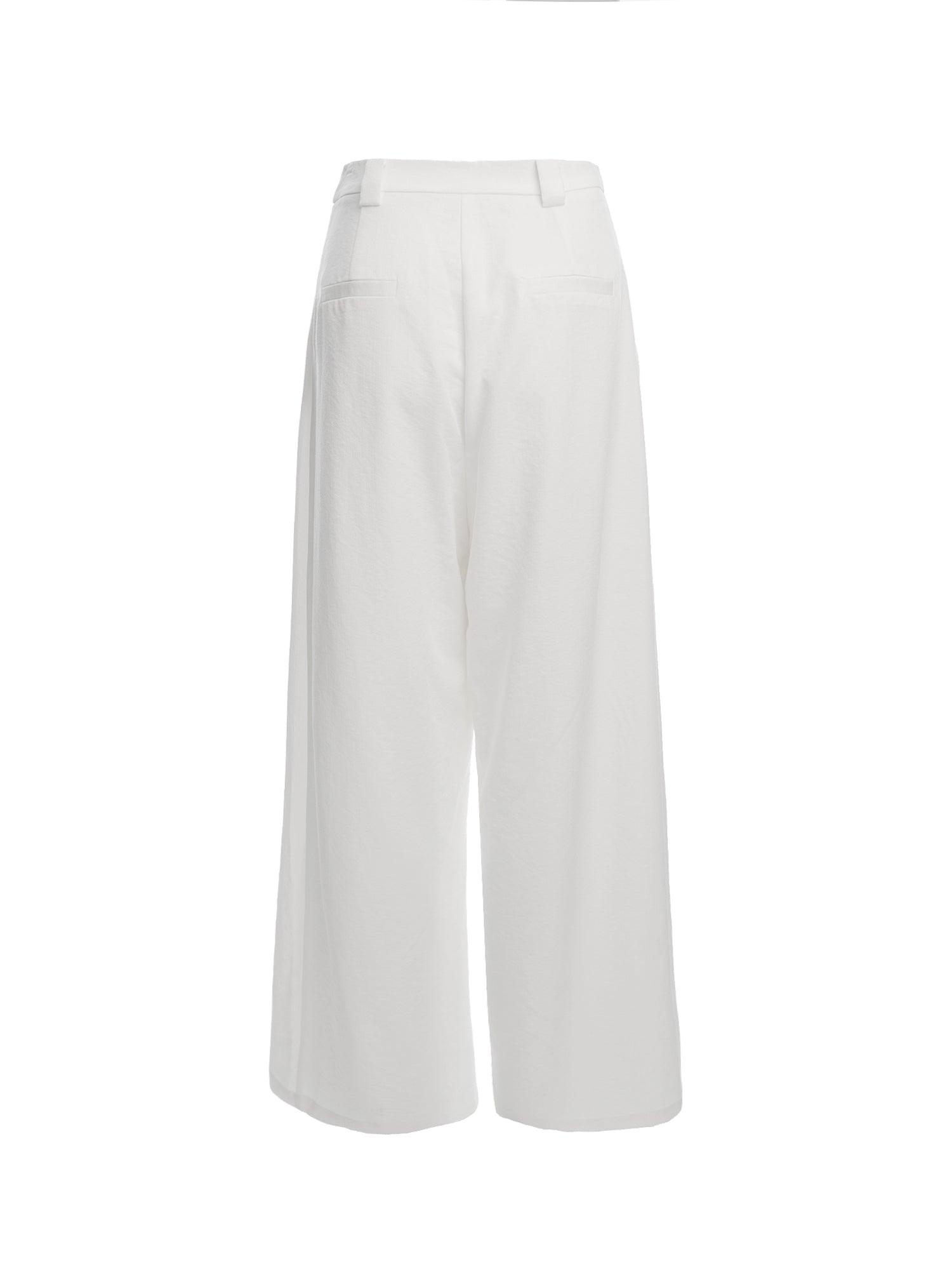 Pleated Wide-Leg Pants