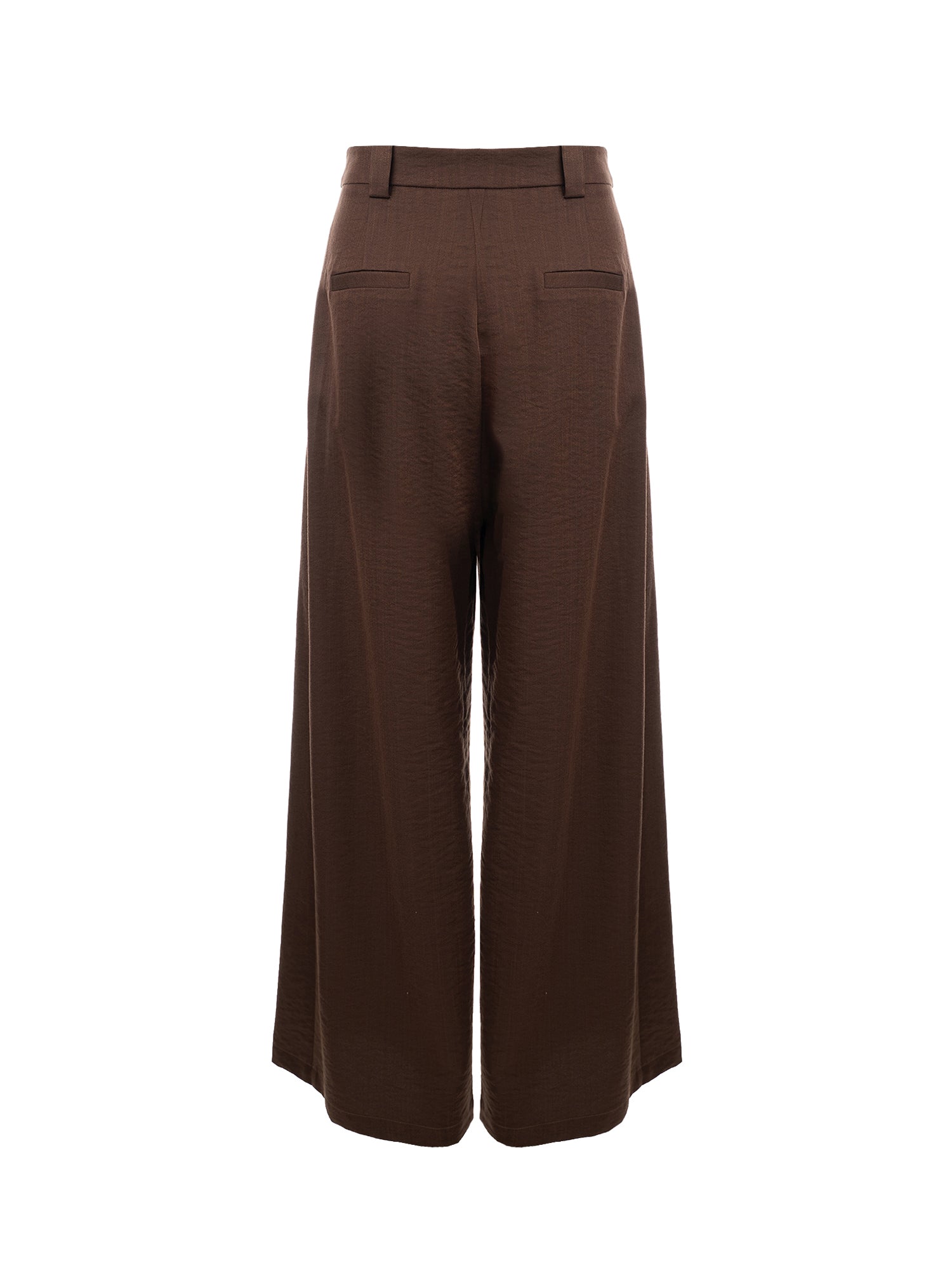 Pleated Wide-Leg Pants