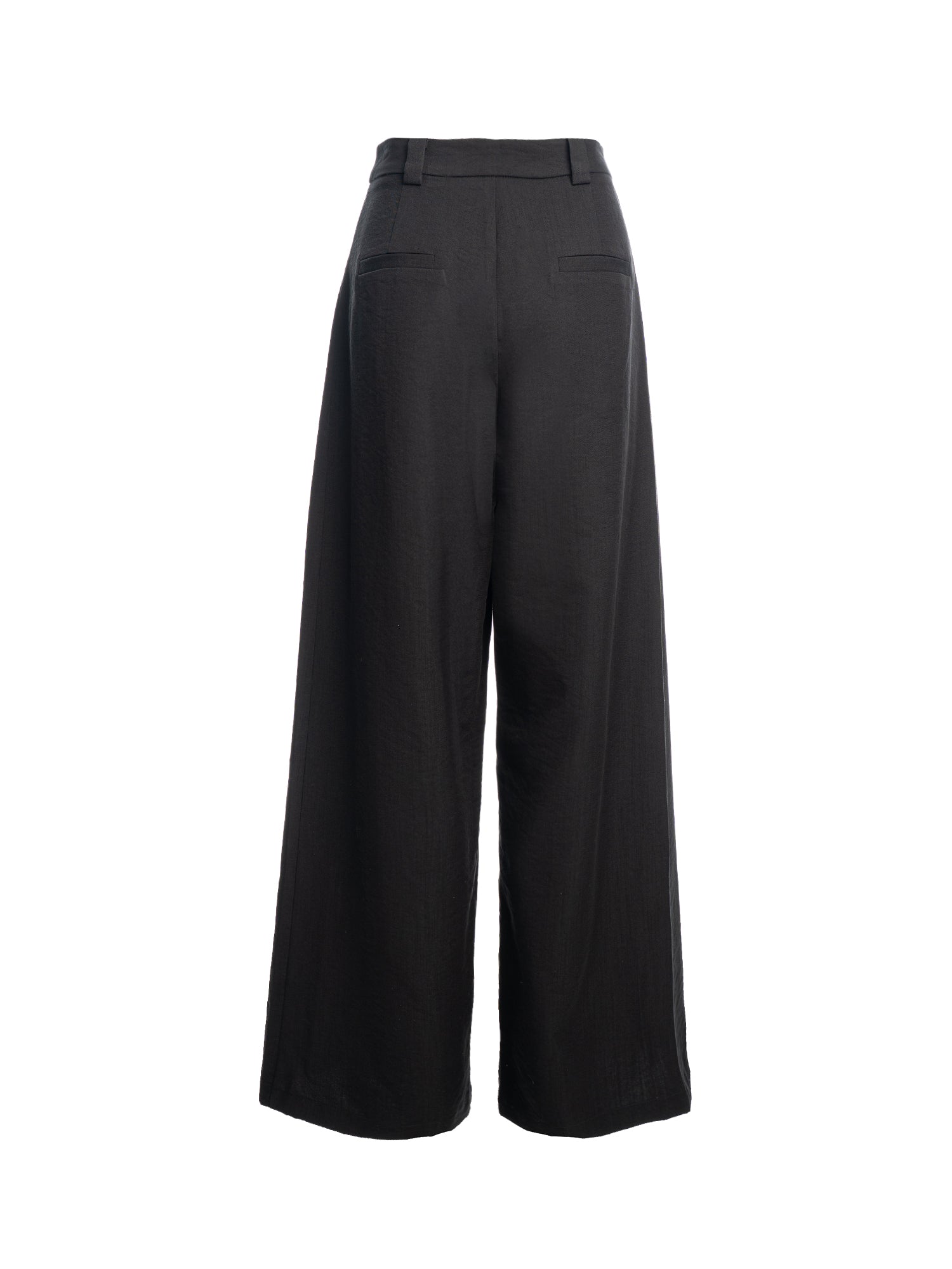 Pleated Wide-Leg Pants